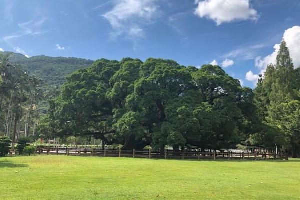 福州國家森林公園景點介紹