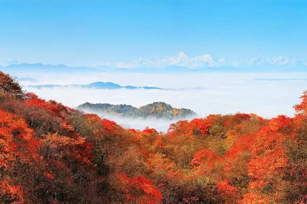 峨眉山红叶最佳观赏地点推荐2022