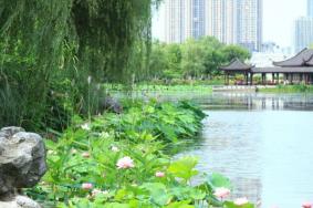 武汉沙湖公园门票多少钱