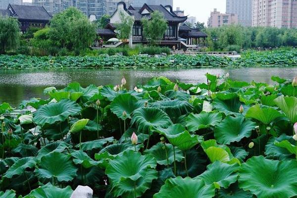 武汉沙湖公园一圈多少公里