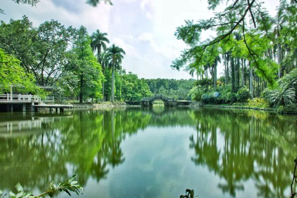 2023华南植物园门票多少钱一张 附免费及优惠政策