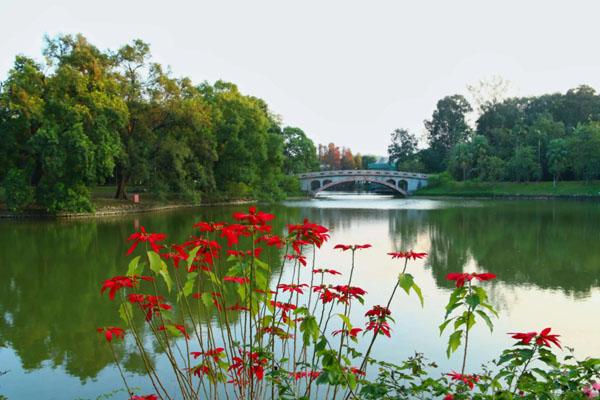 2023华南植物园门票多少钱一张 附免费及优惠政策