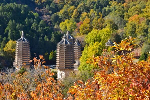 银山塔林风景区门票优惠政策