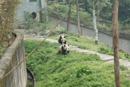 2022雅西高速旅游攻略 - 自驾游攻略 - 简介