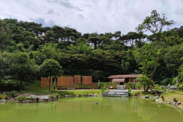 佛山能够制止费登山的处统统哪些