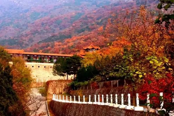 2022年秋季北京蟒山国家森林公园游玩攻略
