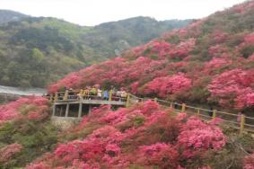 木蘭云霧山住宿預訂