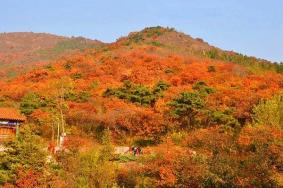 北京蟒山国家森林公园全部景点