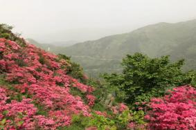 木兰云雾山门票可以现买吗