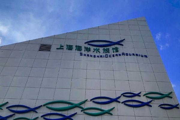 上海海洋水族馆和海昌海洋公园哪个好玩