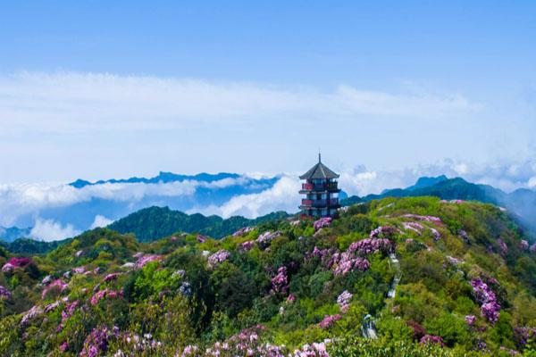 重庆南川的景点有哪些 十大必去旅游景点推荐