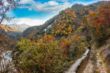 2022鹞落坪风景区旅游攻略 - 地址 - 门票价格 - 开放时间 - 景区介绍