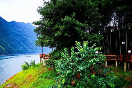 2022鹞落坪风景区旅游攻略 - 地址 - 门票价格 - 开放时间 - 景区介绍