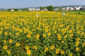 四川达州秋季旅游景点推荐