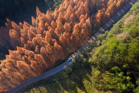 2022怀化靖州排牙山旅游攻略 - 门票价格 - 开放时间 - 地址 - 交通
