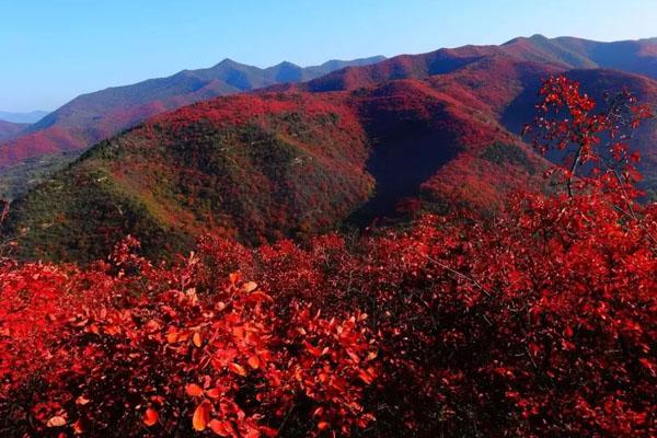 许昌周边看红叶最好的地方