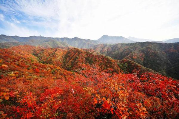 许昌周边看红叶最好的地方