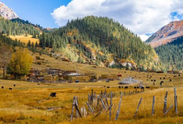 秋季西藏旅游攻略景点推荐