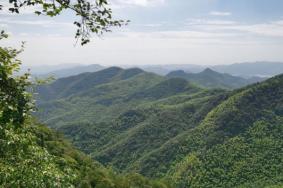 莫干山风景区门票多少钱