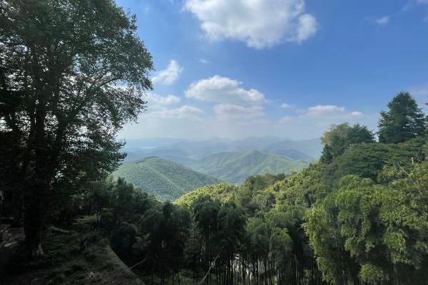 莫干山一日游最佳攻略