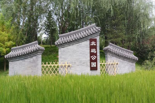 2022北京最美稻田在哪里