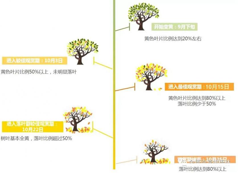 2022金塔胡杨林最新最佳观赏期