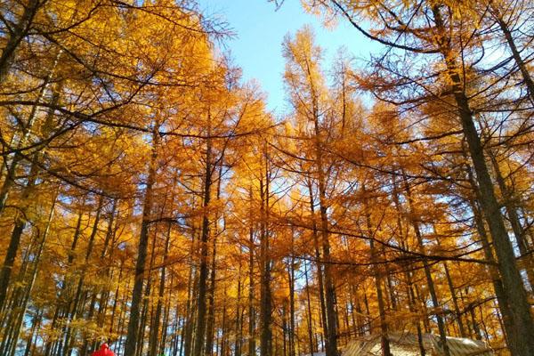 長春周邊有哪些山可以去爬 十大最佳爬山好去處