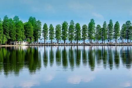 武汉东湖四个景区哪个最好玩