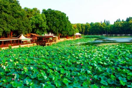 武汉东湖一日游最佳路线图