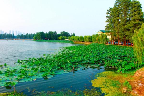 东湖生态旅游风景区门票多少钱