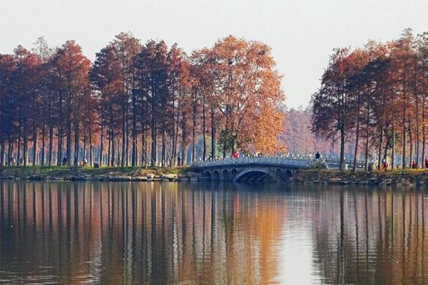 武汉东湖最佳游览路线