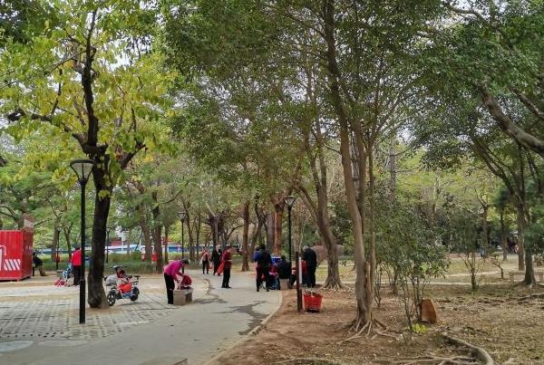 深圳哪个公园可以搭帐篷