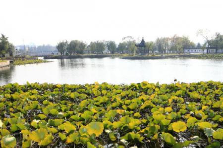 2023五岛湖风景区游玩攻略 - 门票价格 - 开放时间 - 景点介绍 - 简介 - 交通 - 地址 - 电话 - 天气