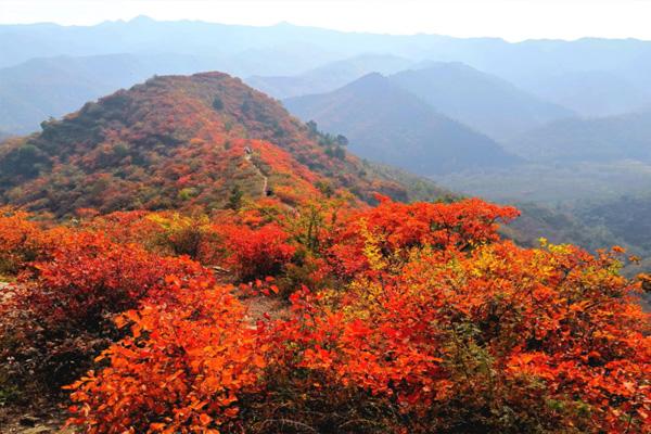 云台山红叶最佳观赏时间是几月份