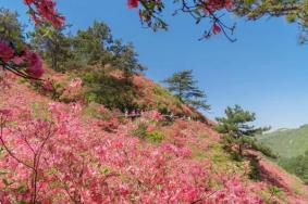 黄陂木兰八景哪个景点最好玩