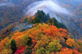 光雾山一日游攻略