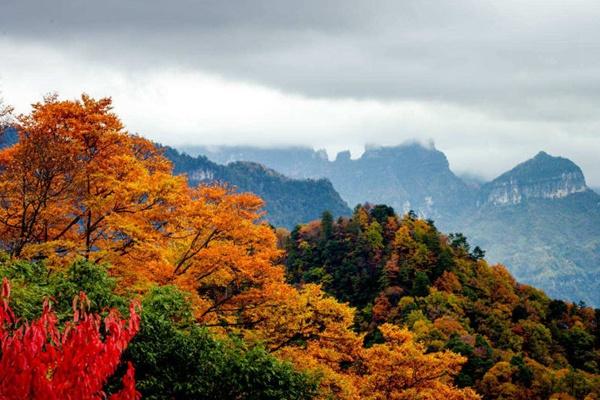 光霧山門票多少錢一張2024