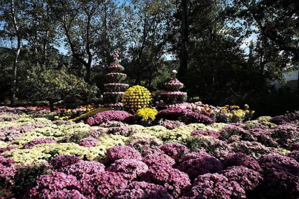 北京国家植物园怎么走