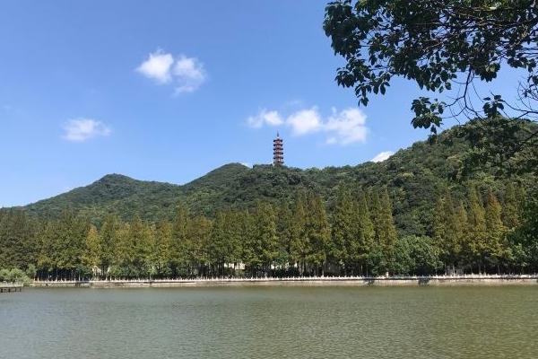 奉化黃賢森林公園開放了嗎 什么時候開放