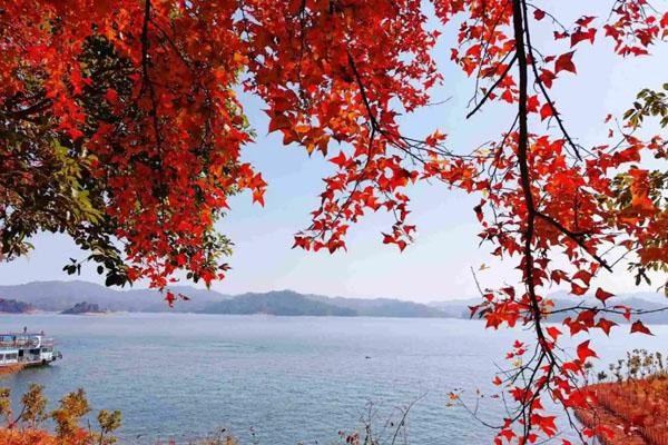 广东秋天看枫叶最美的地方