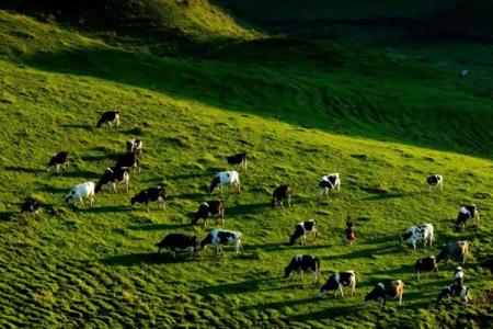 2023邵阳南山牧场旅游攻略 - 门票价格 - 景点介绍 - 地址 - 开放时间 - 最佳旅游时间