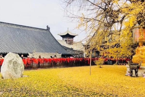 西安銀杏樹(shù)在哪個(gè)寺廟怎么去