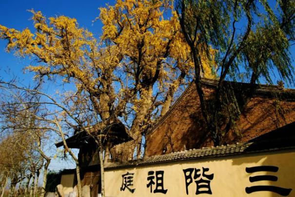 西安哪个寺庙有银杏树