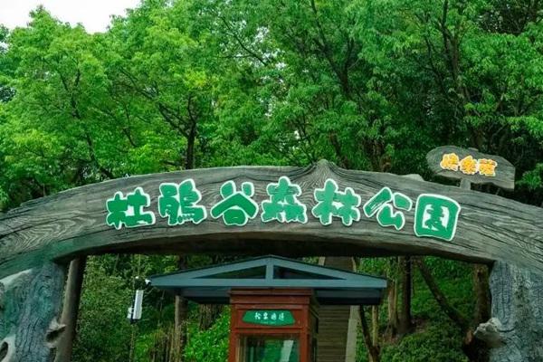 2022宁波杜鹃谷森林公园门票多少钱