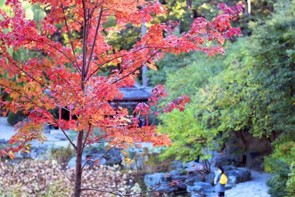 2022北京紅葉節(jié)是什么時(shí)間