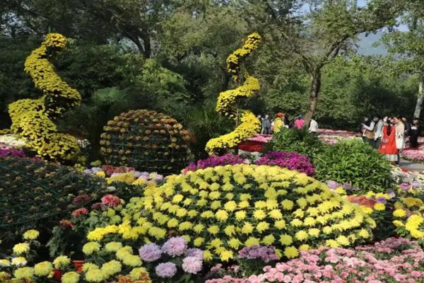 2022国家植物园菊花展在哪个区