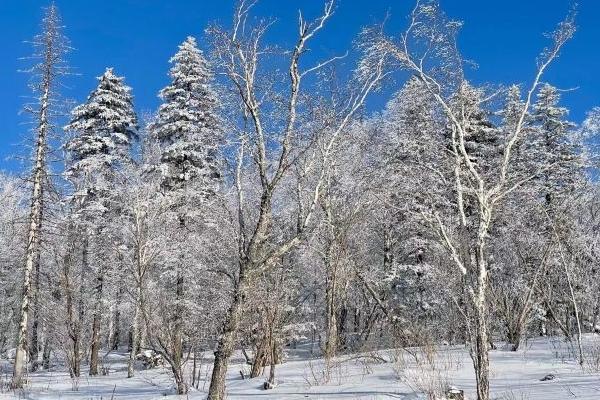 去雪乡需要注意什么