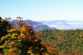 2022光雾山风景区免门票政策最新