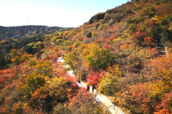 2022去香山看红叶需要预约吗