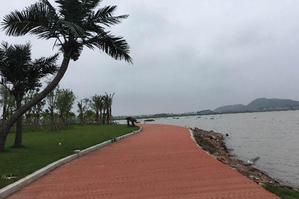 深圳白沙湾公园开放了吗现在2022